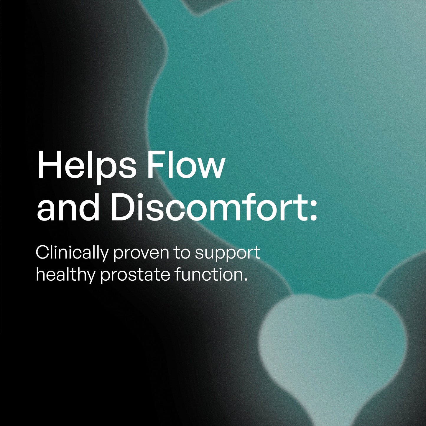 Prostate Health Supplement